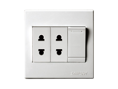 Three companies, one product, single (double) control switch, two two pole oblong socket